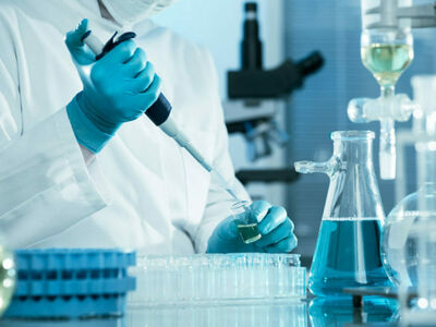 Лабораторные анализы Лабораторные анализы